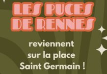 puces rennes