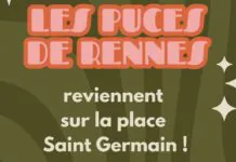 puces rennes