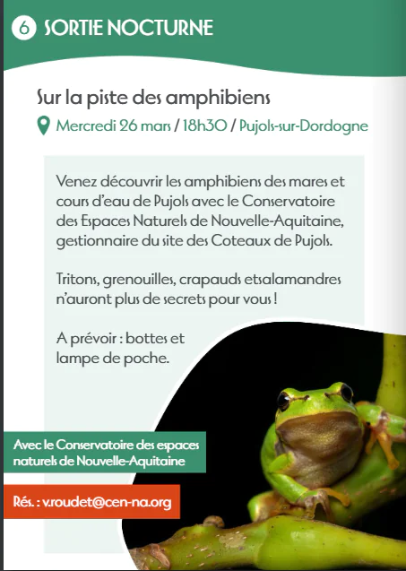 Sur la piste des amphibiens