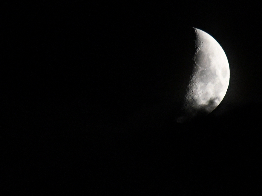 Un soir de pleine lune sur la prairie de l'étang Massé