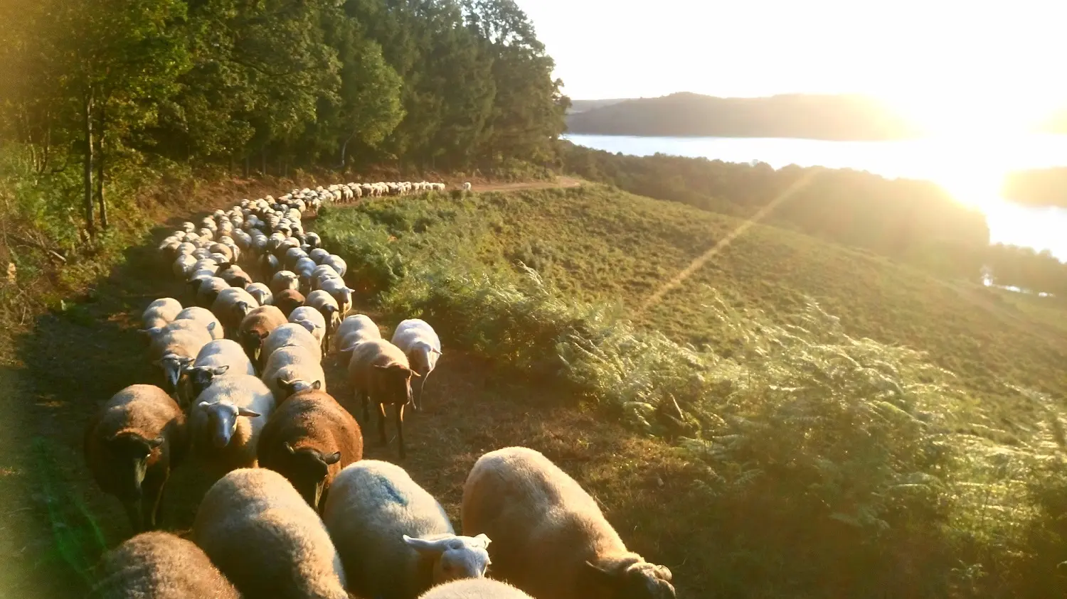 Rando-apéro-pasto autour du Lac de Vassivière