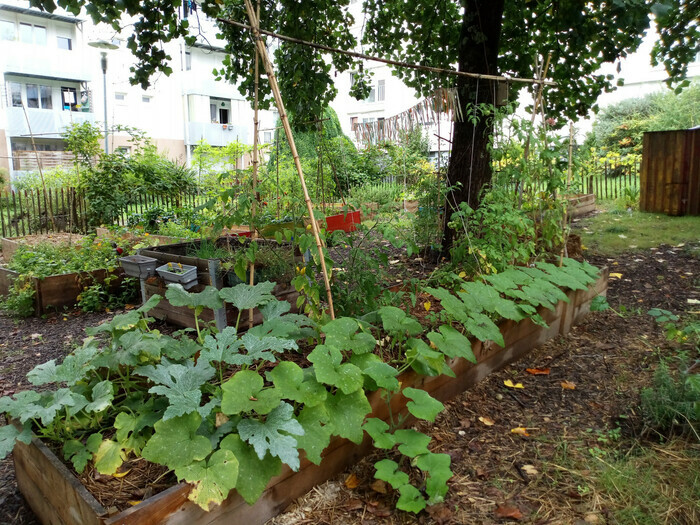 Atelier jardinage de saison au jardin de la rue Dullin Rue Charles Dullin