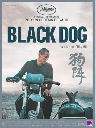 Cinéma Black Dog en VO