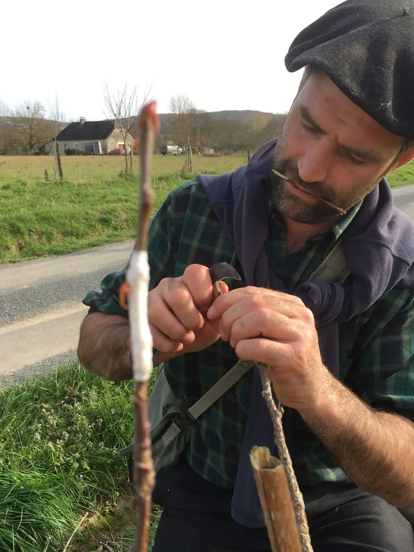 Journée d’initiation et spectacle poétique autour du greffage