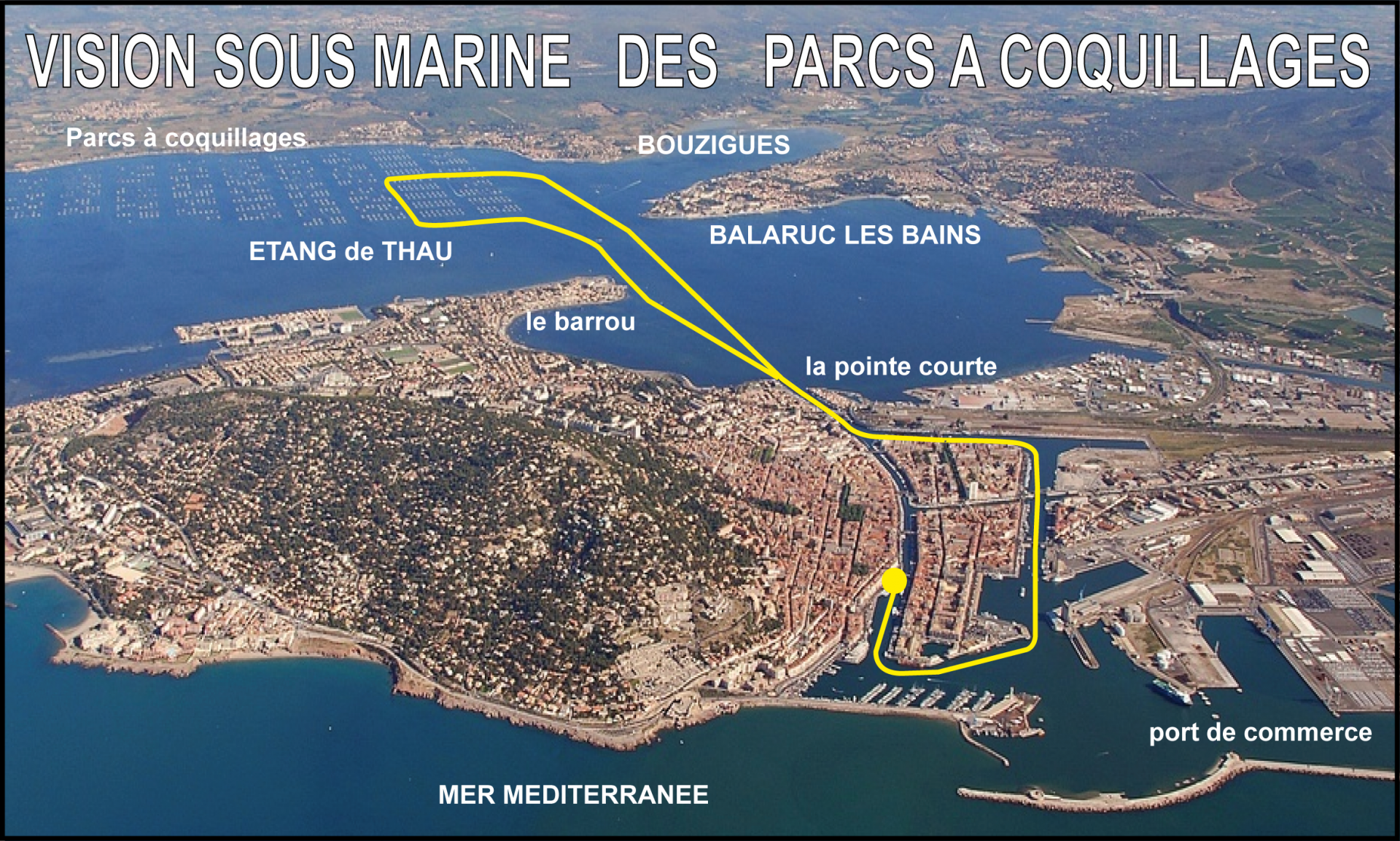 VISITE EN BATEAU DE L'ÉTANG DE THAU ET DES PARCS À COQUILLAGES AVEC SÈTE CROISIÈRES