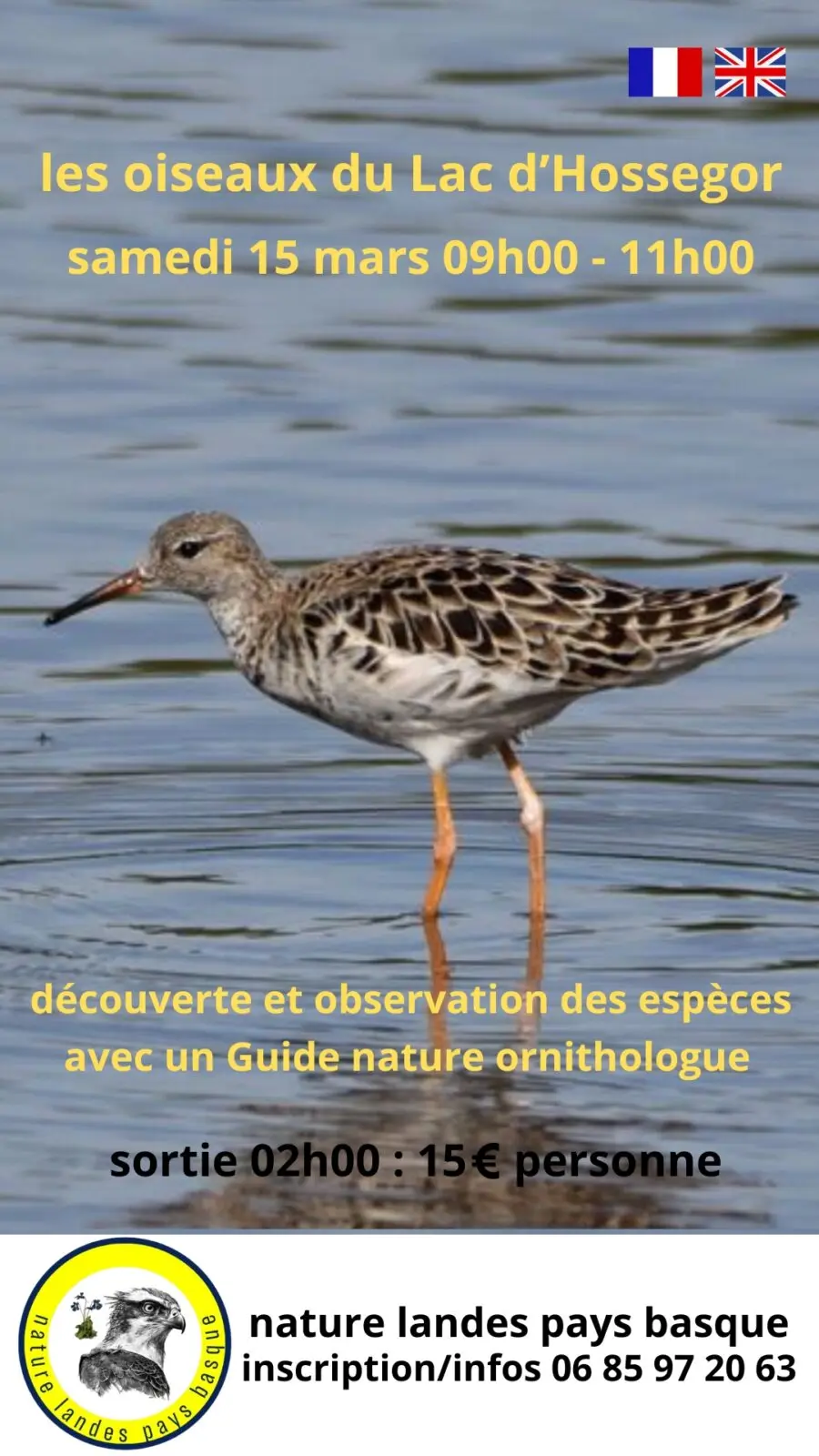 Les oiseaux du lac d'Hossegor