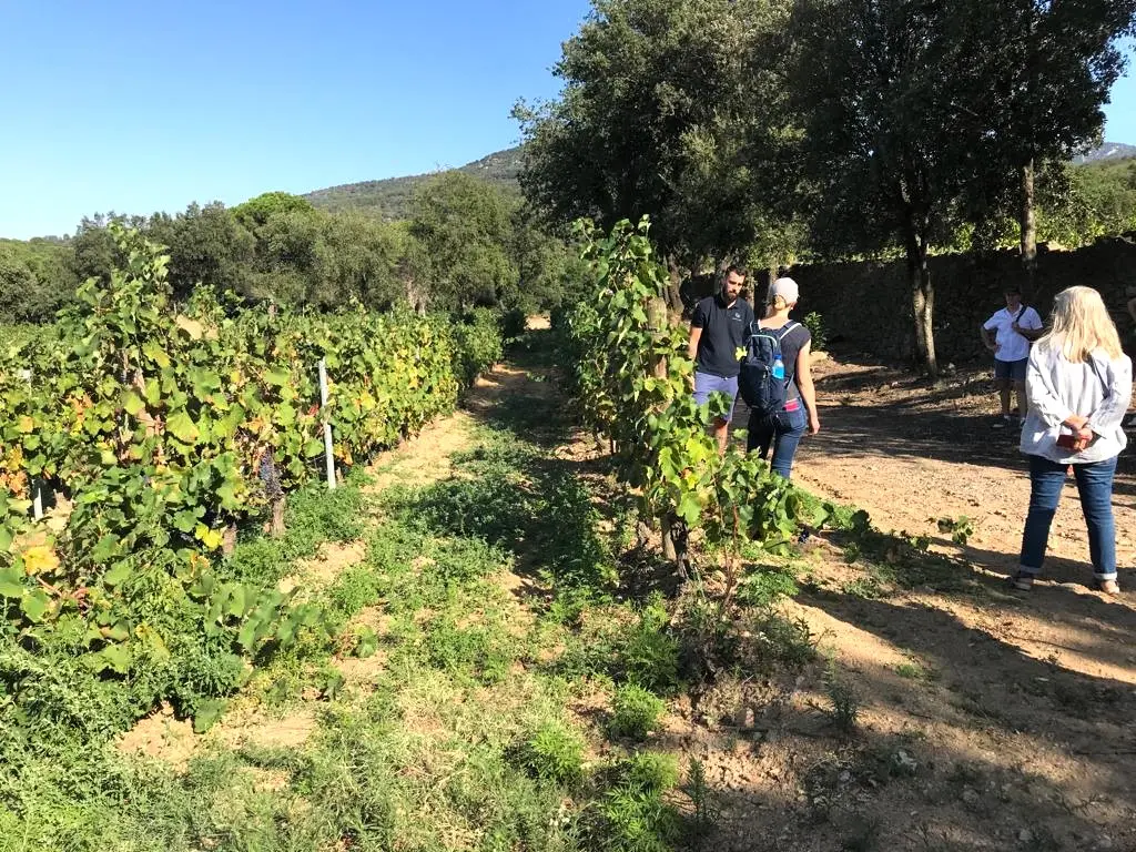 OENO-BALADE AVEC LE DOMAINE DEPRADE-JORDA