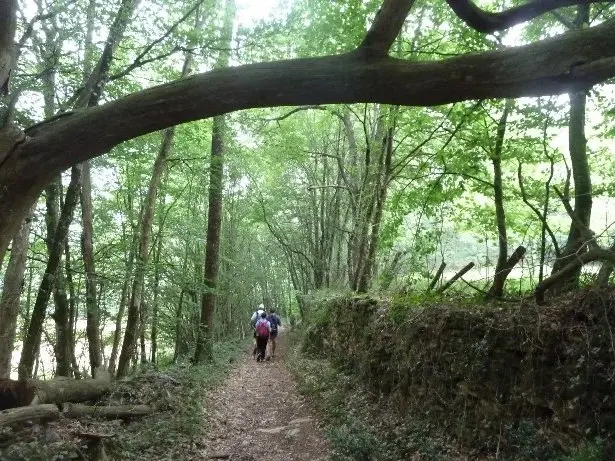 Rando santé Thézac