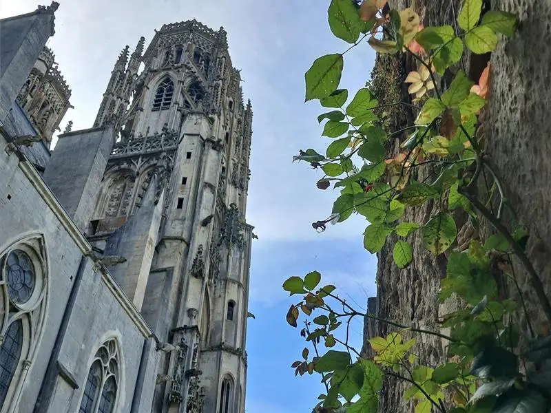 CATHÉDRALE TOUL