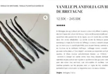 vanille bretagne