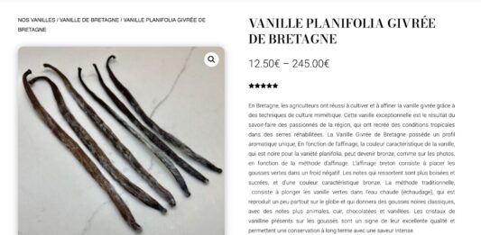 vanille bretagne