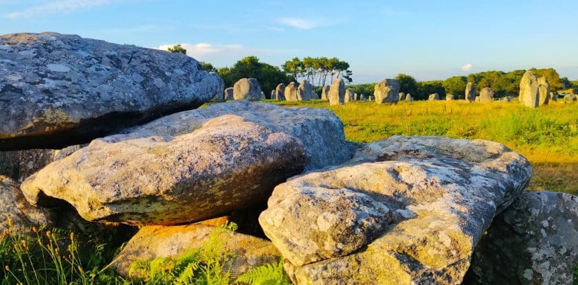 la carte aux trésors 