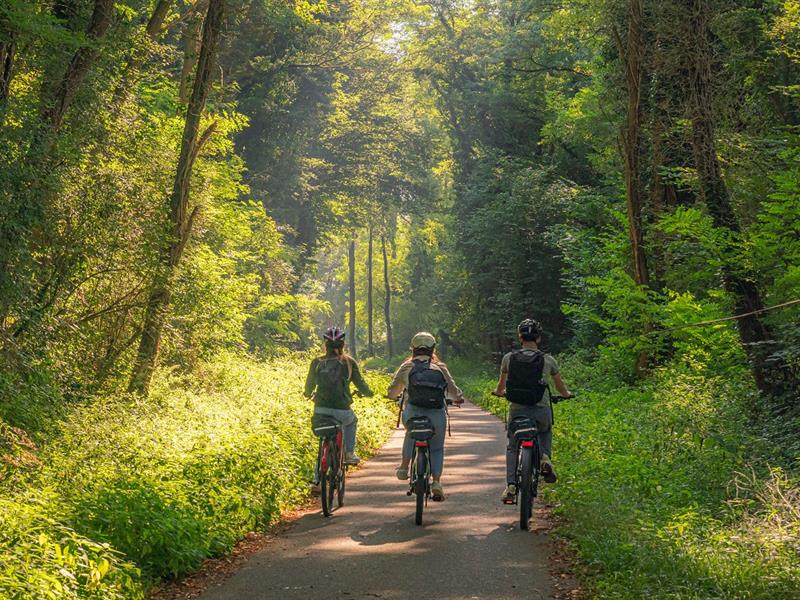 Circuit VTT enduro moyen Rott Grand Est