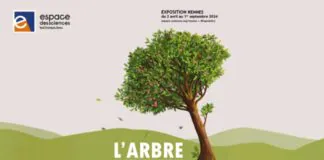 arbre espace des sciences