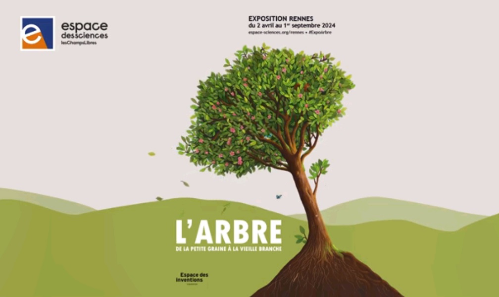 arbre espace des sciences