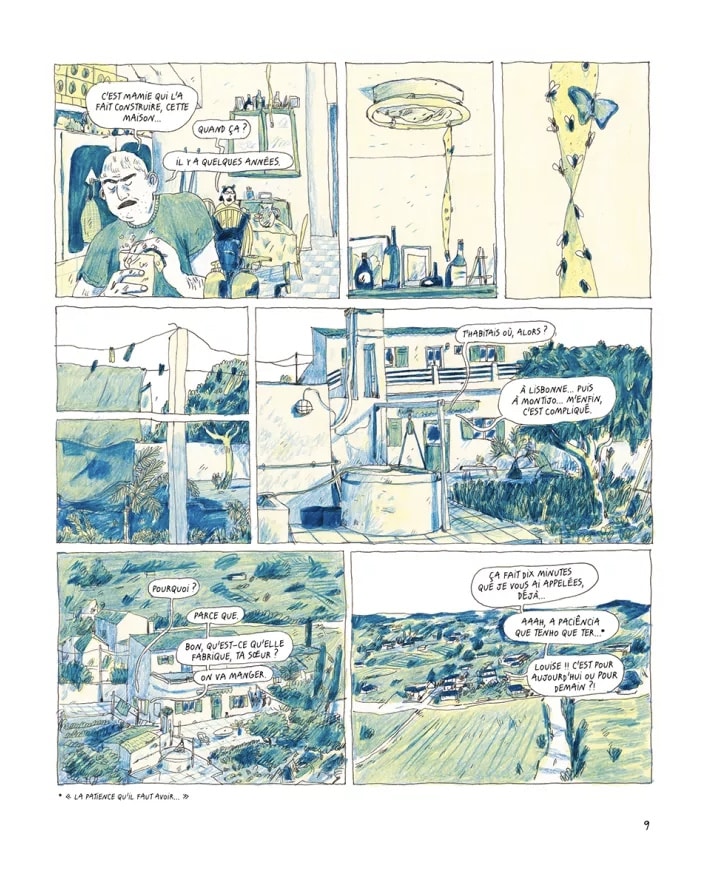 borboleta madeleine pereira