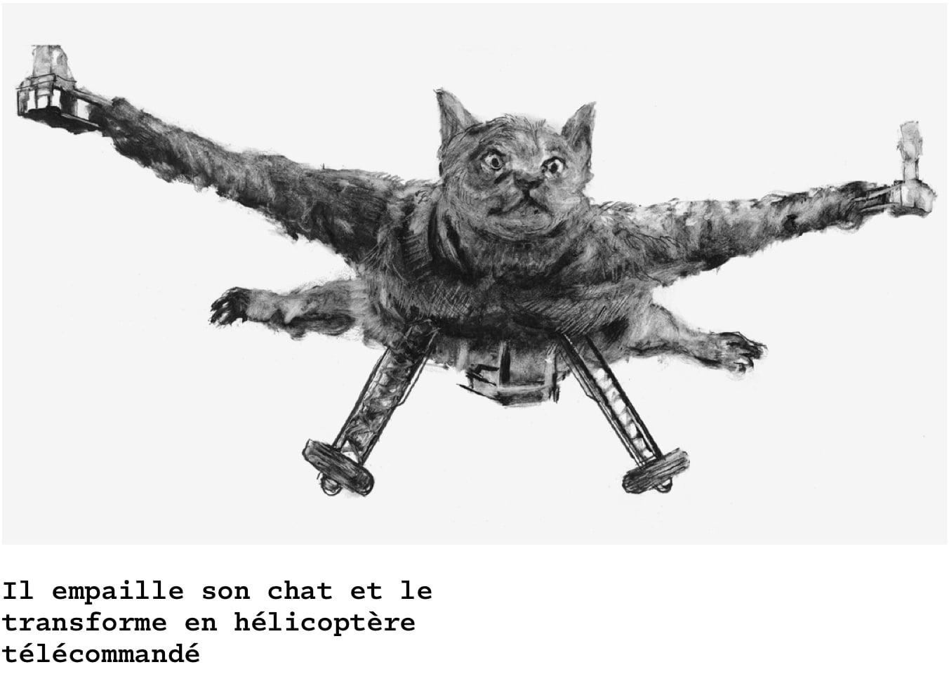 fait divers livre in fine