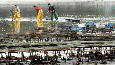 la carte aux trésors 