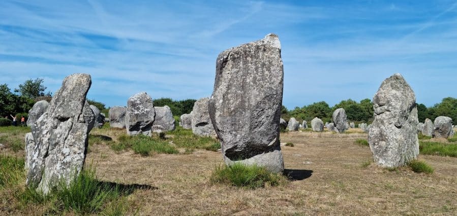la carte aux trésors 