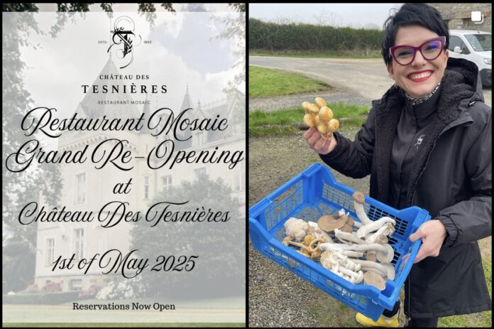 Restaurant Mosaic Château des Tesnières Torcé