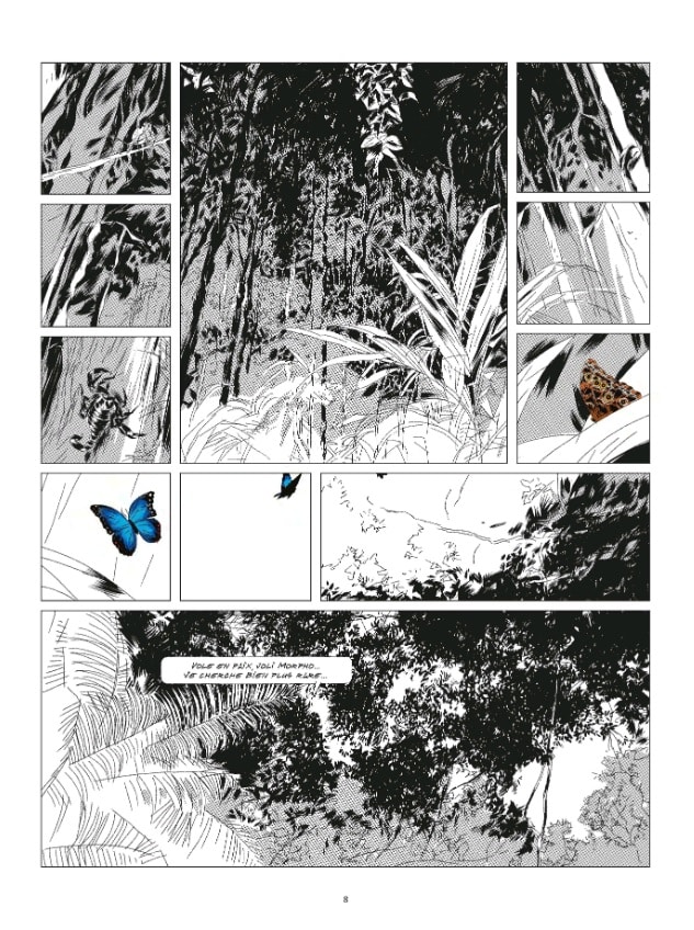 bd les papillons ne meurent pas de vieillesse