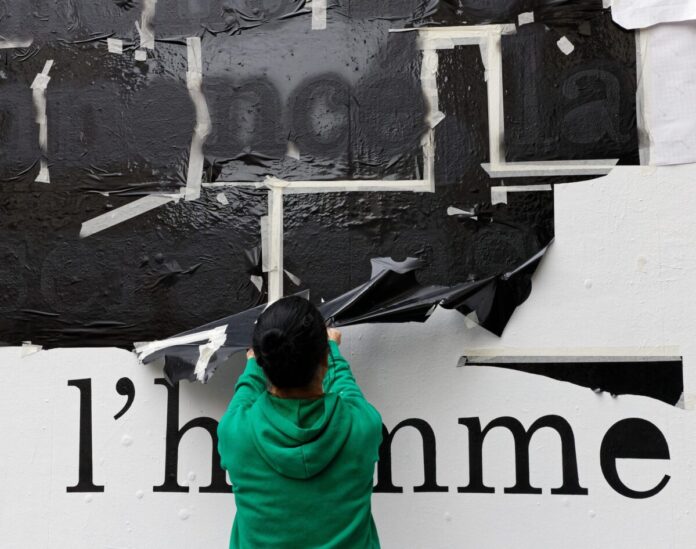 petite poissone mur de rennes