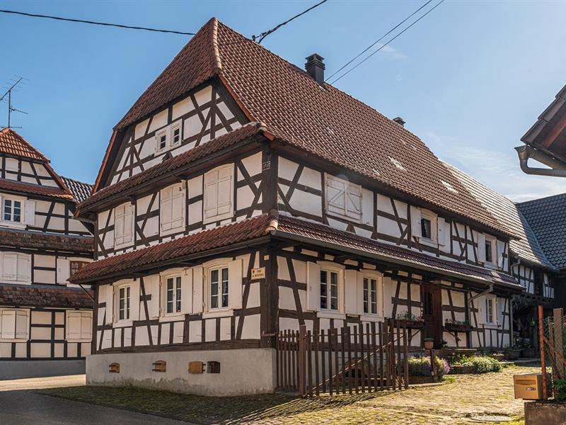 Circuit randonnée de Soultz-sous-Forêts vers les villages blancs Soultz-sous-Forêts Grand Est