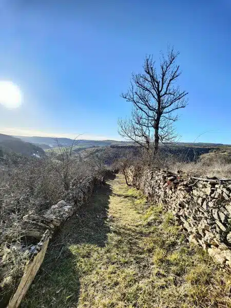 Trail d'Aqui Coubisou Coubisou Occitanie