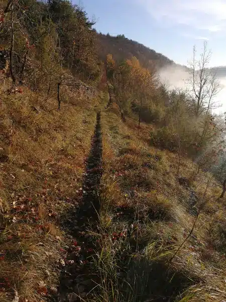 Trail d'Aqui Sébrazac Sébrazac Occitanie