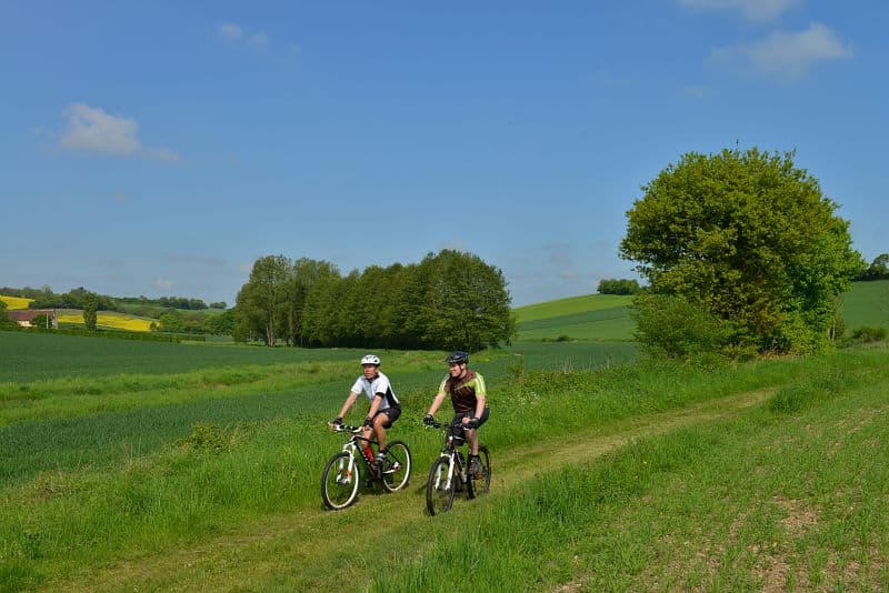 Les bois de Mottereau Brou Centre-Val de Loire