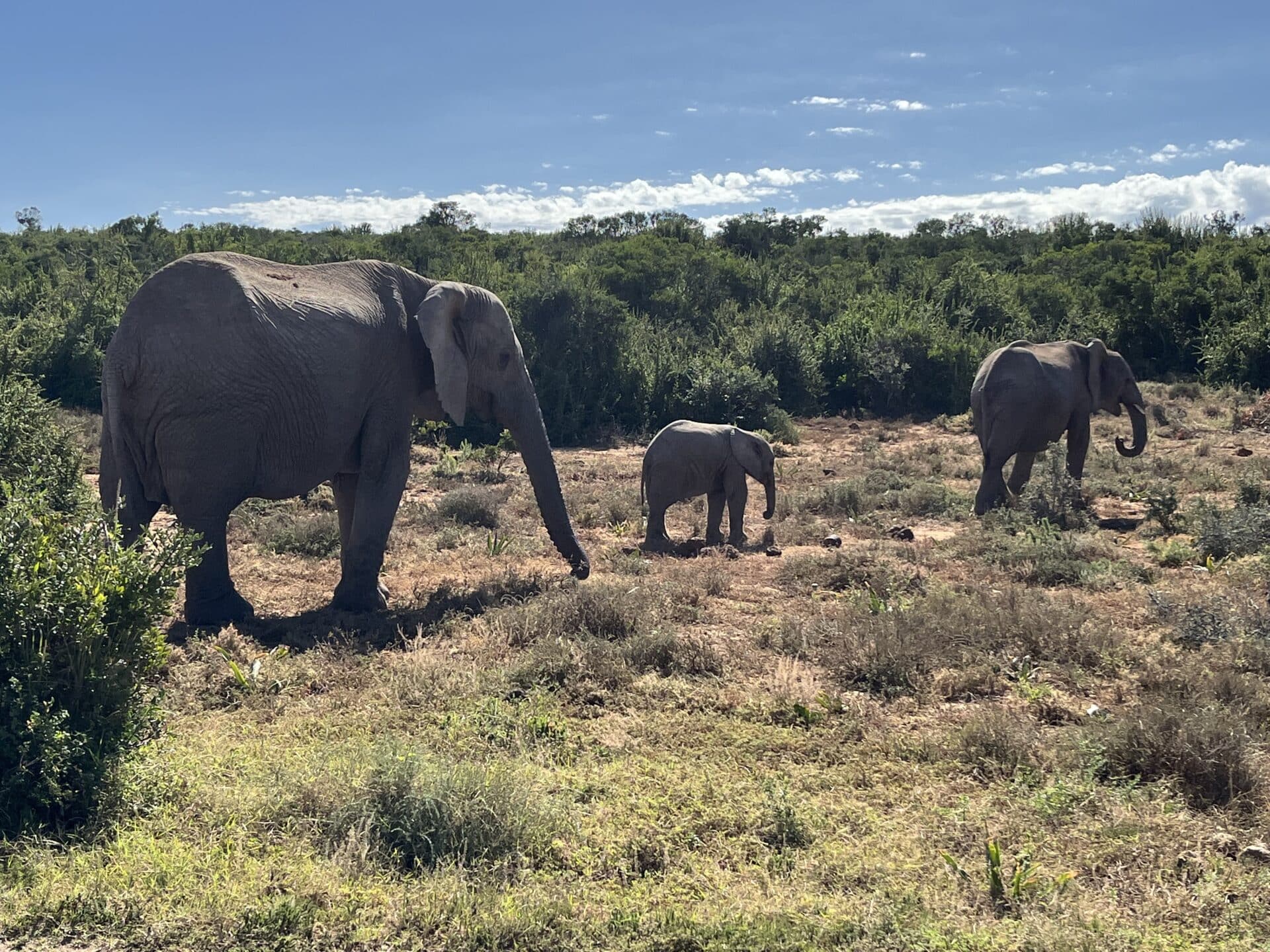 Alban Lemasson Maël Leroux