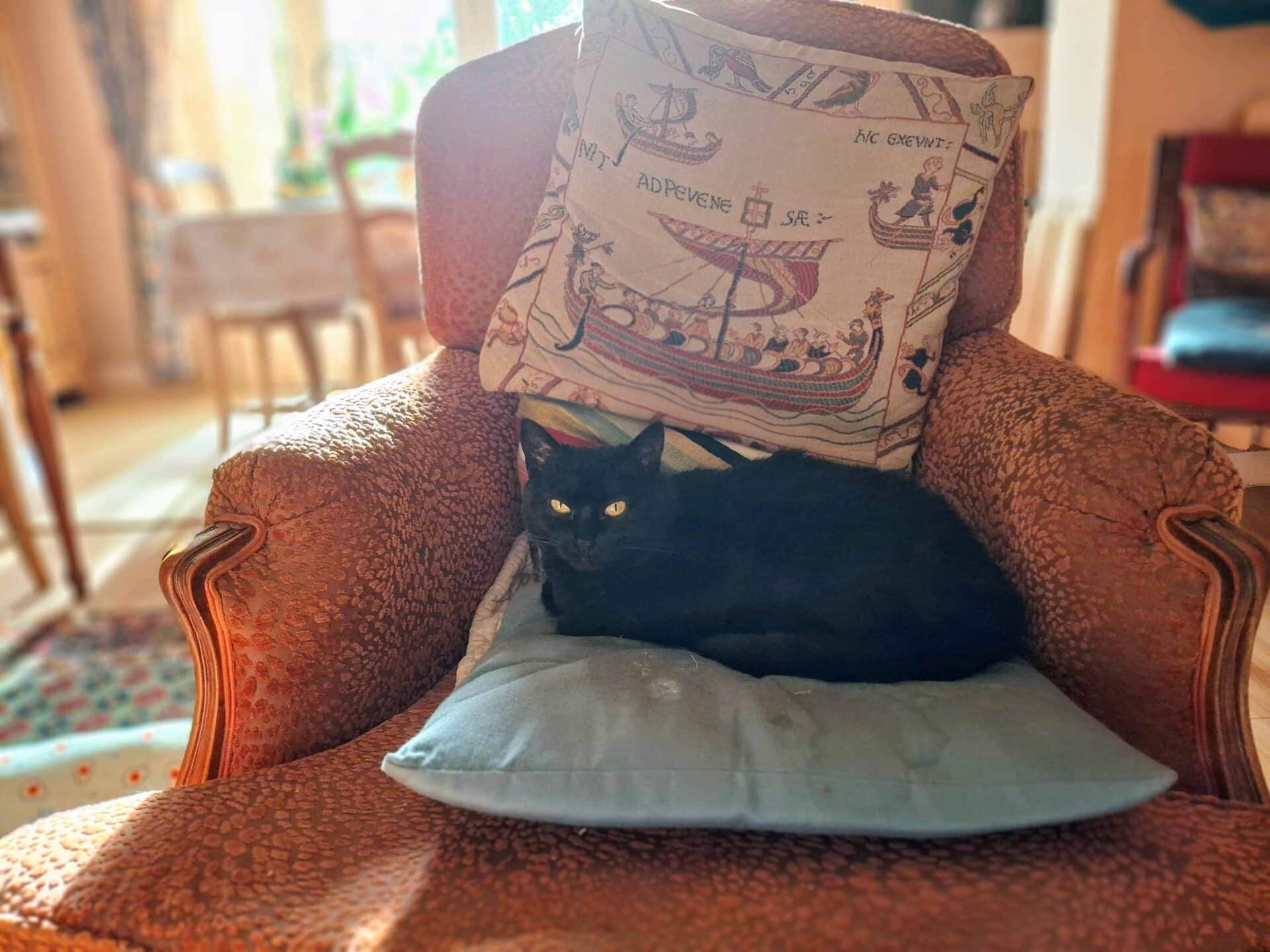 Alban Lemasson Maël Leroux