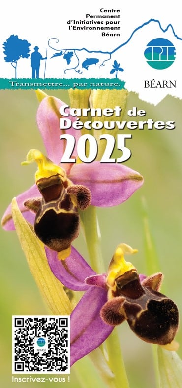 De l'oiseau au crayon le fusain sauvage Sortie CPIE