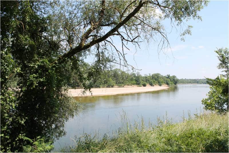 Dans la roue d'Albert Bourlon Sancergues Centre-Val de Loire