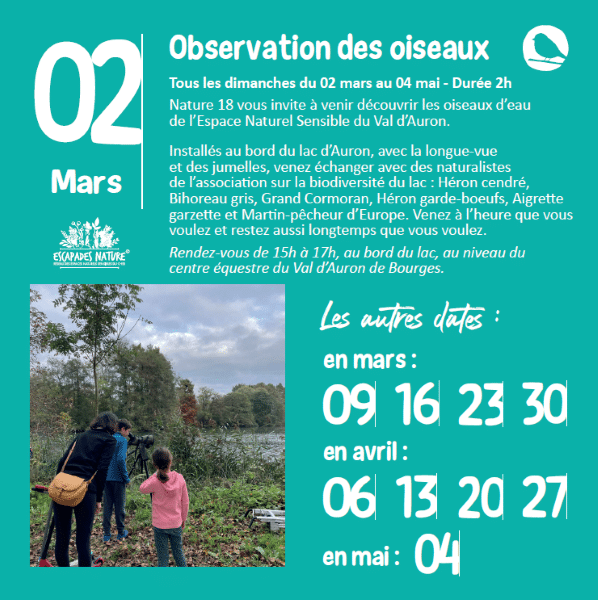 Observation des oiseaux