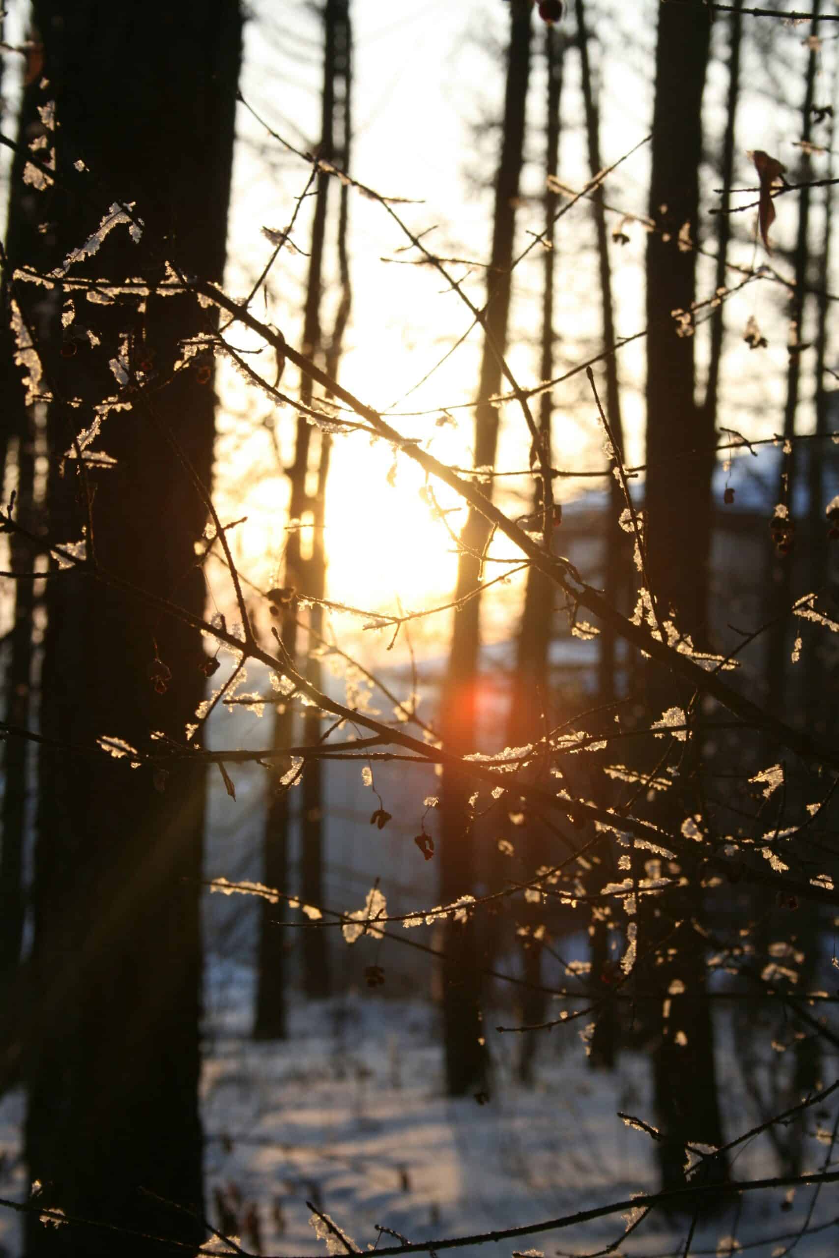 ATELIER BIEN ETRE HIVERNAL