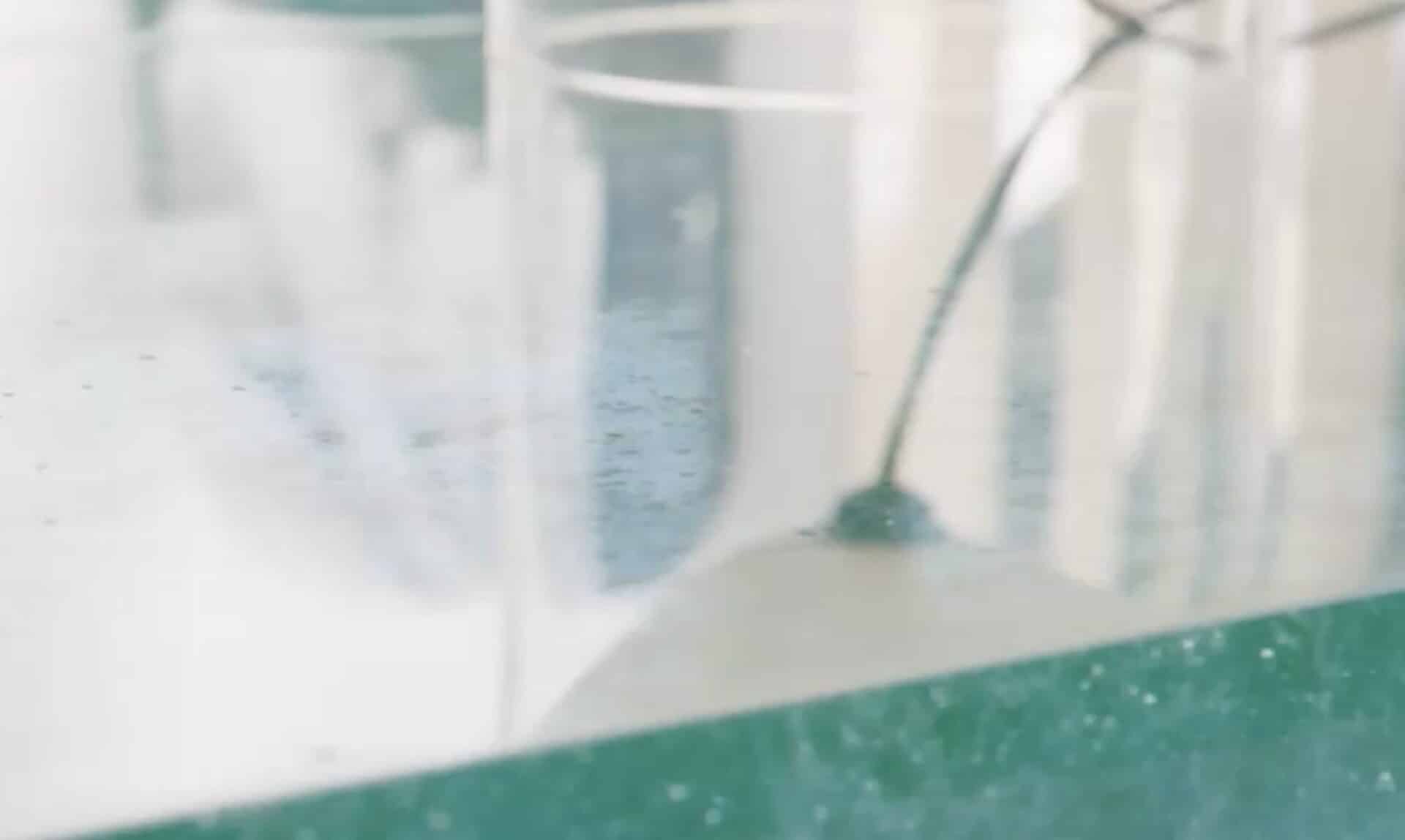 biennale revelation grand palais