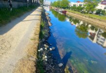 ille-et-vilaine rennes fleuve