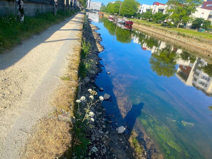ille-et-vilaine rennes fleuve