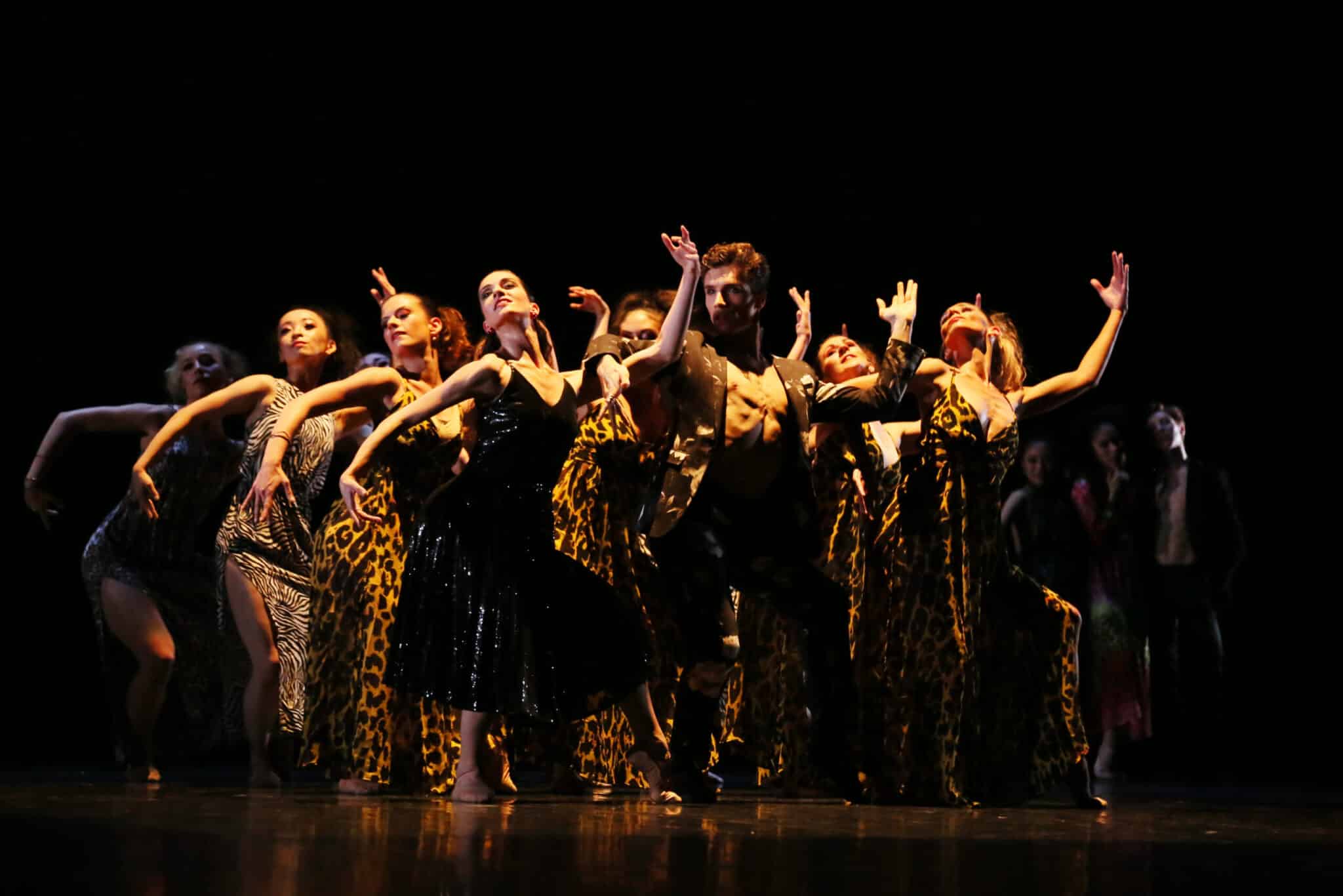 " CARMEN " Cie FRANÇOIS MAUDUIT