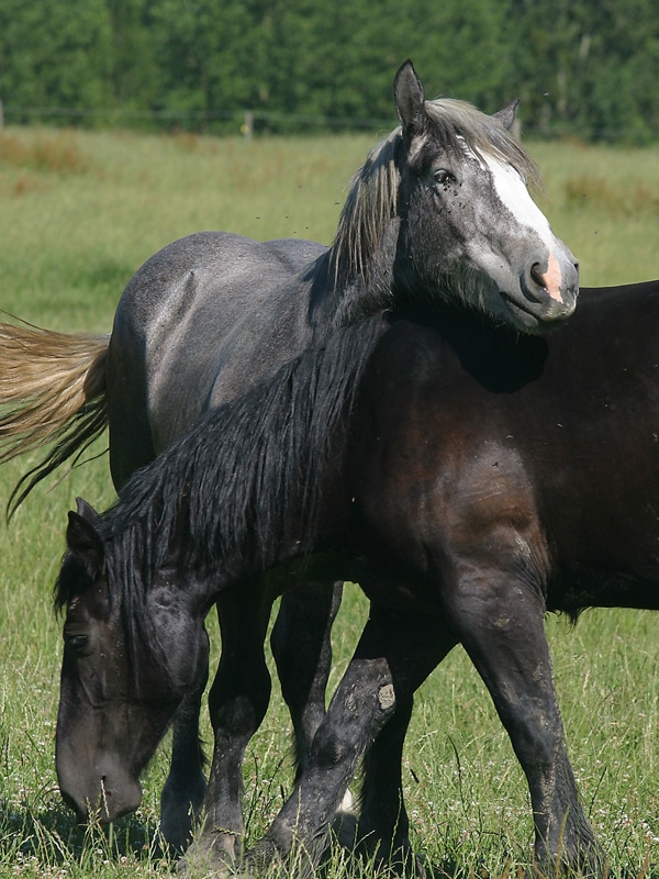 La vallée de la Ronne Arcisses Centre-Val de Loire