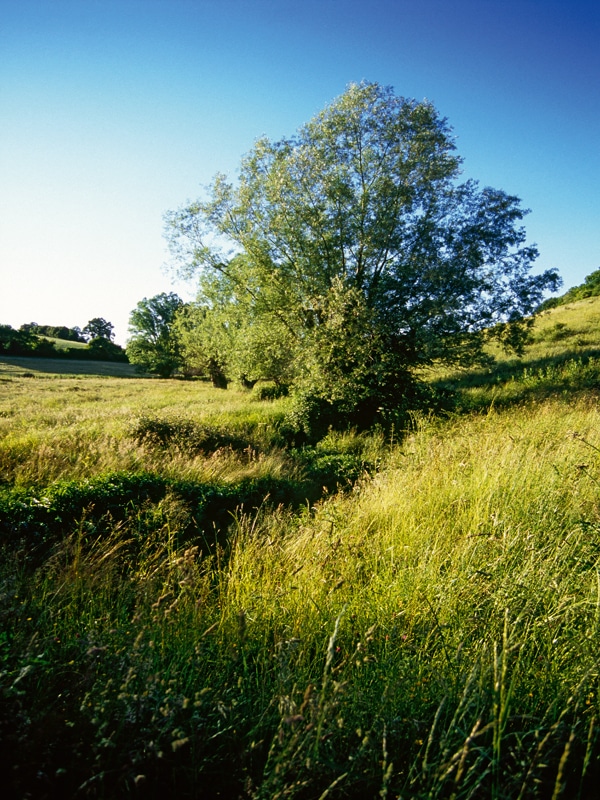 Le moulin d'Arcisses Arcisses Centre-Val de Loire
