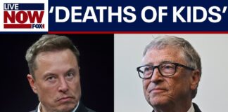 Bill Gates accuse Elon Musk