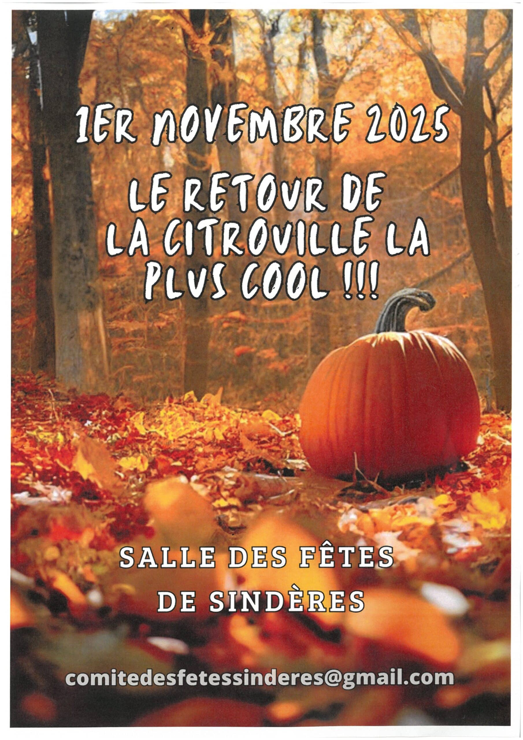 Le retour de la citrouille la plus cool !!!