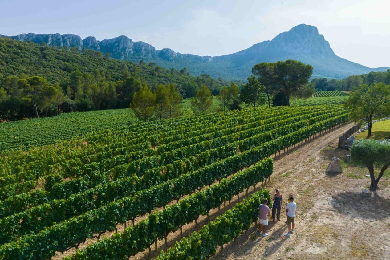 ROUTE MÉDIÉVALE AUTOUR DU PIC SAINT-LOUP Les Matelles Occitanie