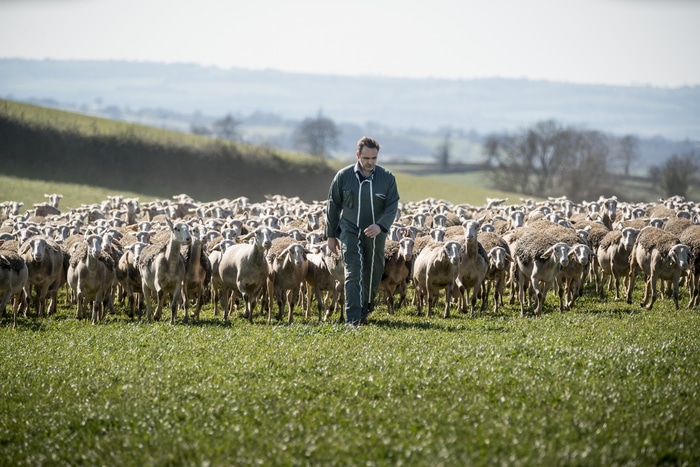 1ère Journée de l'Éducation à la bientraitance animale par les Paysans et Artisans en Pays de Millau Siège Association Sauvegarde du Patrimoine Culturel Immatériel du Pays de Millau Millau