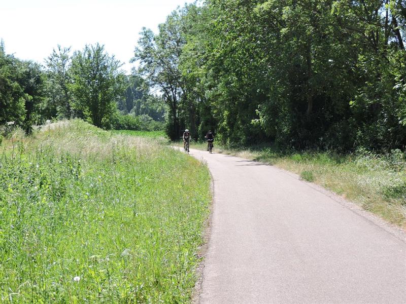 Sur le GR 534 Stanislas-Kléber Soultz-les-Bains Grand Est
