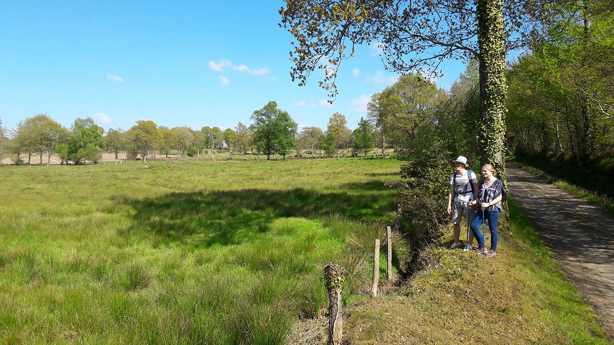Le marais de Truttemer Vire Normandie Normandie