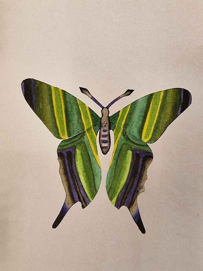 La symétrie des rêves - Exposition itinérante du Muséum d'histoire naturelle de Nantes Château de La Gobinière