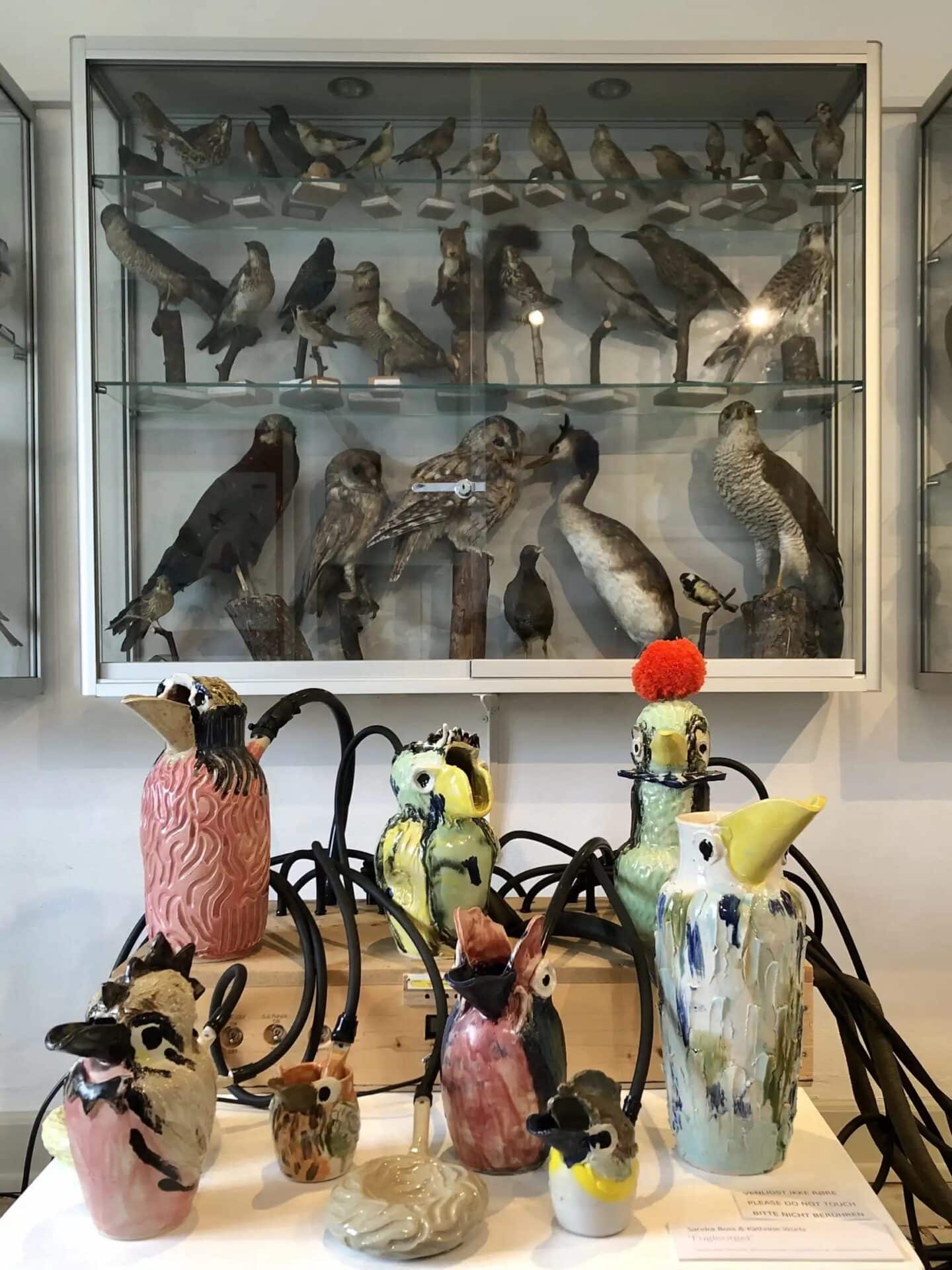 exposition rennes cui cui oiseaux